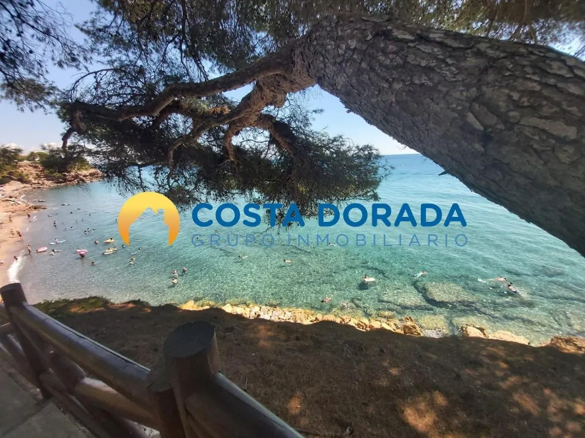 Gicd Maldivas Apartment La Pineda Spain